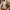 Soft Meadow Kitten Companion – Noah0x03