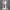 Crystal K9-standaard /basis/ – LED-licht