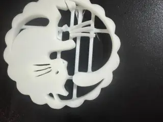 yin yang gatos