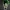 Ekko Arcane Character