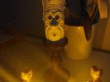 Candle Candelabra-0