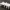 Wooden Pier with Ladder