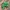 Cute Minecraft Creeper