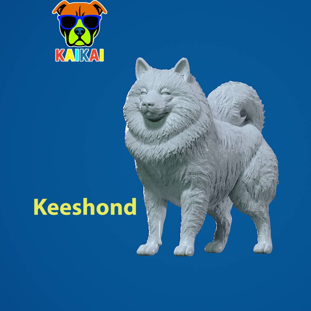 Keeshond Dog model - Dutch Barge Dog statue - 3D print