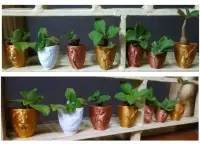 Plant pot pendant and badge collection-2