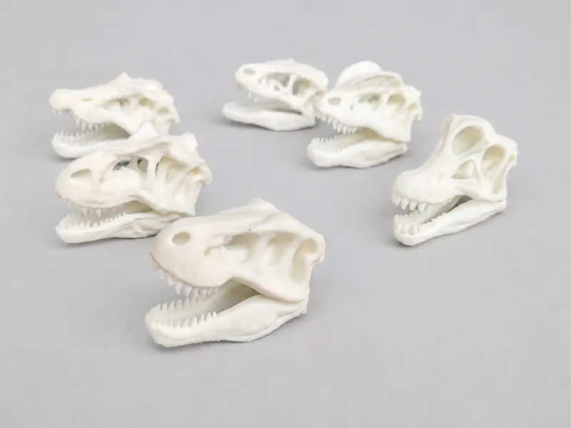 Mini Dinosaur skulls | Fossil Replica | Collection