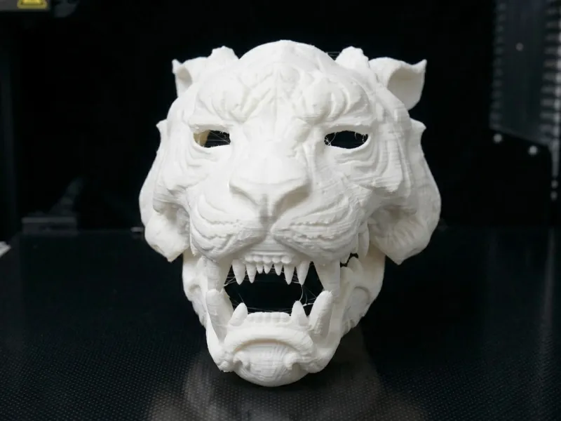 Tiger Head