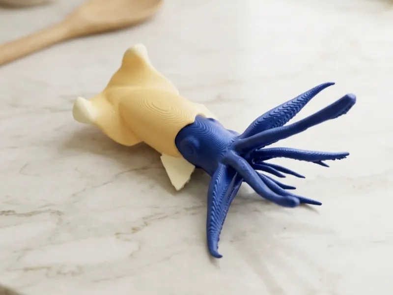 Squid