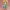 Link The Legend of Zelda