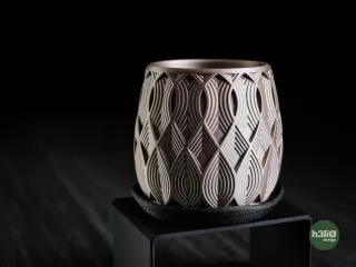 salir • planter
