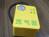 Car Tire Inflator Pump-0