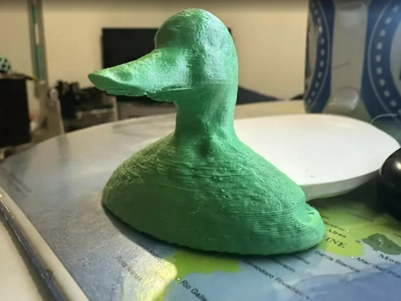 DUCK SCAN