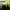 Pickleball_Buddy (1)