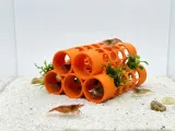 Small Shrimp Hideaway-0