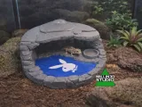 Playboy Grotto pet spa hide for pets with pool and food dish-0