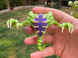 Domz sarcophacus-0