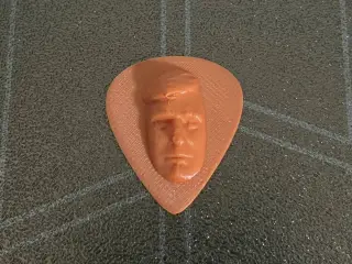 Trump guitar pick