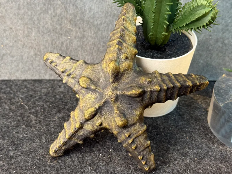 starfish
