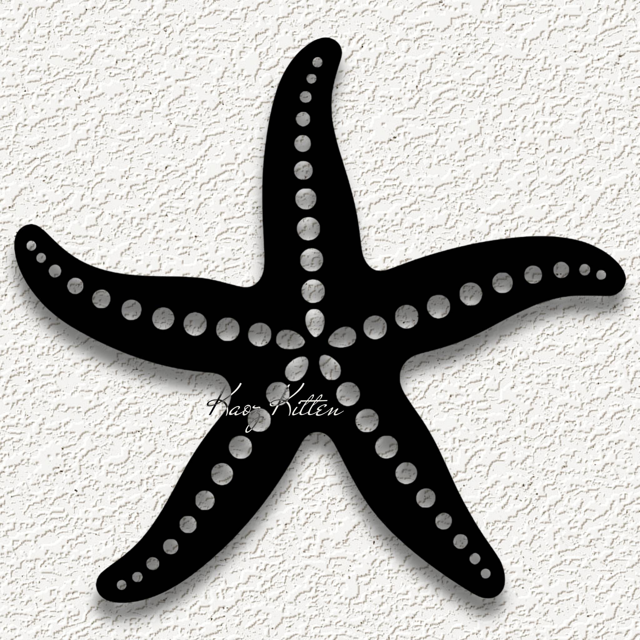 starfish beach sea life wall art home decor