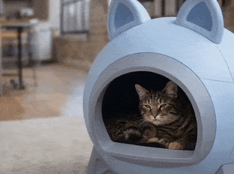 Totaal schattig dierenhuis / dierenverblijf met katten- of muizenoren!