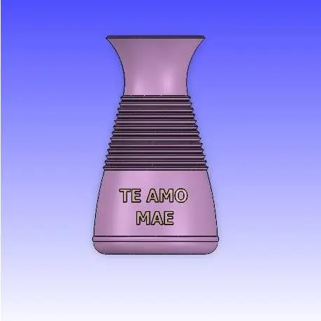 Dia Das Mãe Vasos - Mothers Day