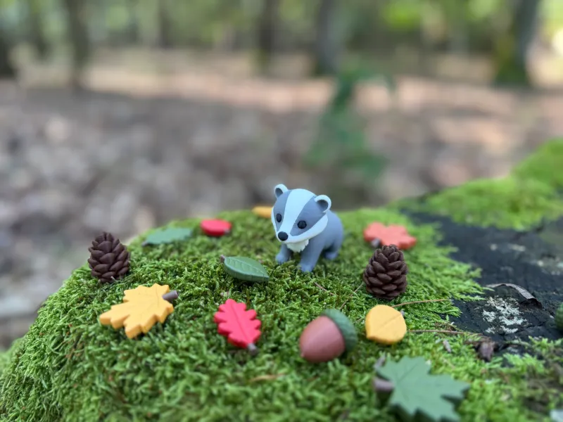 Forest Badger