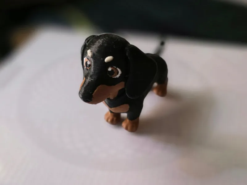 Figura de cachorro salsicha, Dachshund