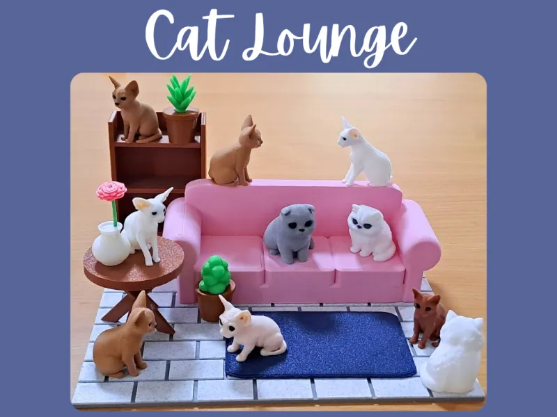 Cat Lounge