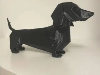 Cali-dachshund 
