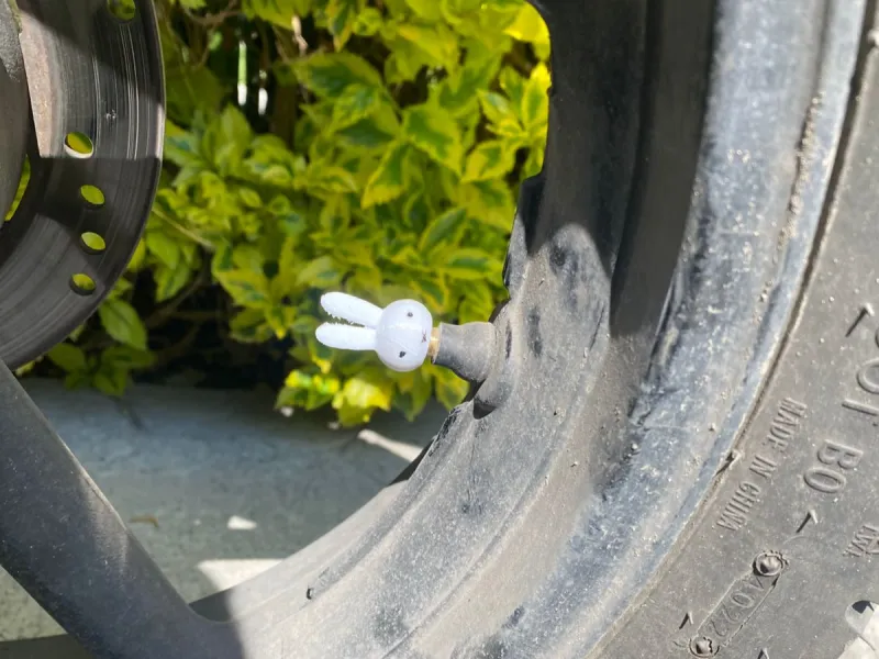 Miffy Tire Cap