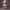 VËR - Creepy Stylized Doll Character