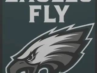 Philadelphia Eagles light box Fly eagles Fly