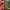 SPRITENOVA 2.2 HighFlowDual5015 TOOLHEAD