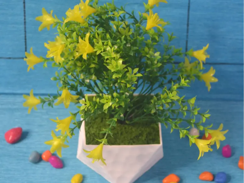 AC-PLANTER-POT-050