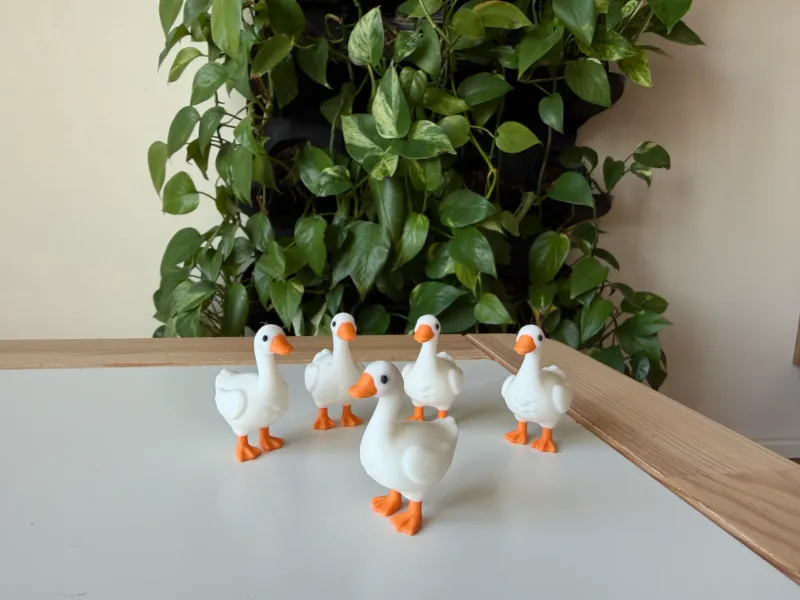 Goose