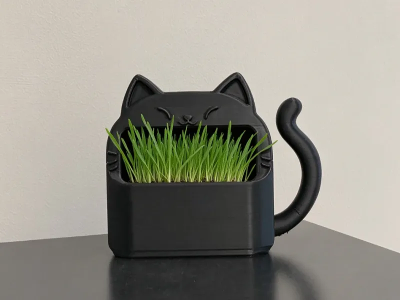 Plantio de Grama de Gato com Drenagem Inferior