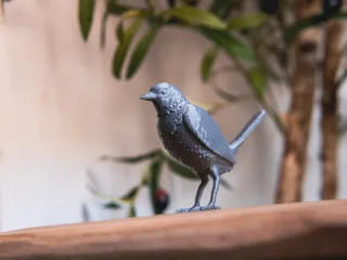 The Bird