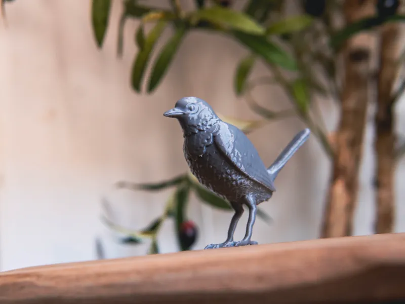 The Bird