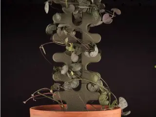 Plant Support