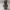 minion_peaky_blinders
