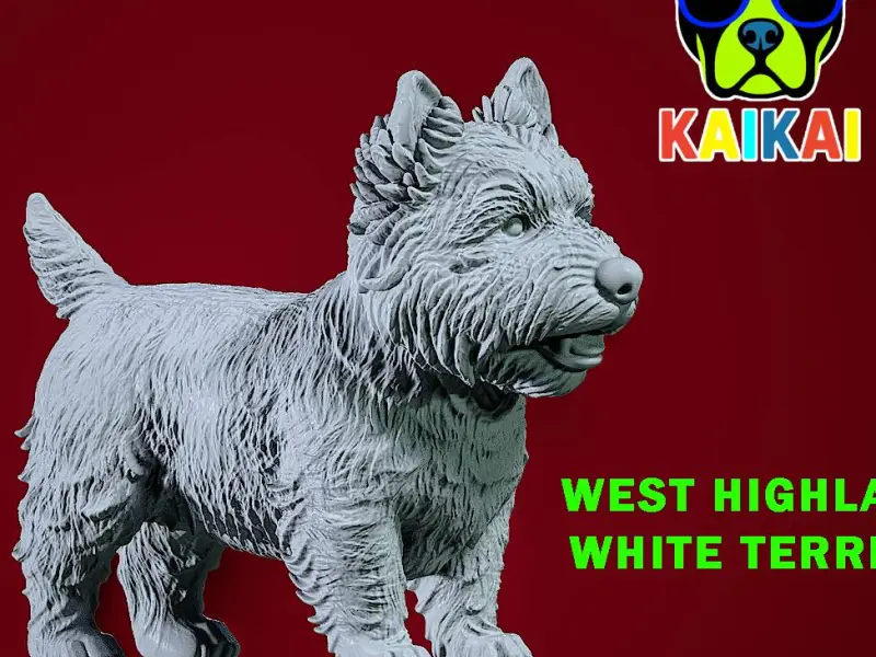 White West Highland Terrier Dog model - 3D print