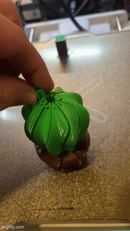 Cactus Twisty Fidget