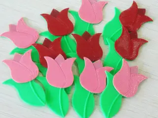 Tulip
