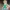 Anna Frozen ana disney - seu nome