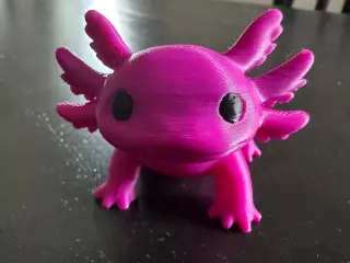 axolotl 