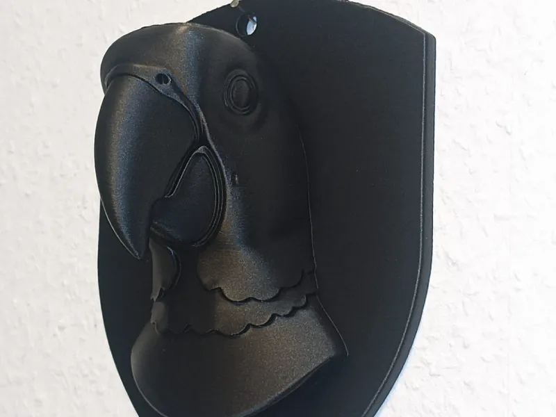 Parrot / Papagei