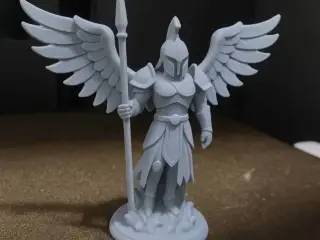 Angel Warrior