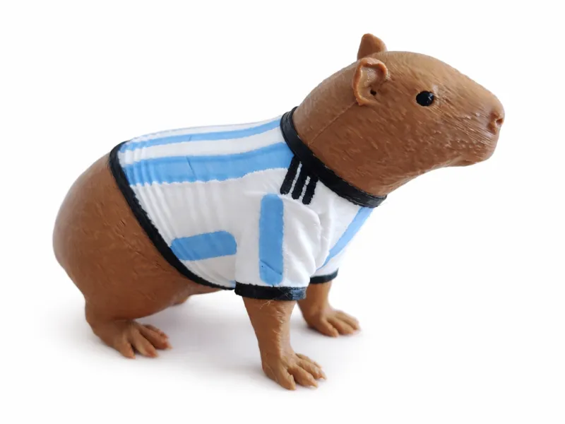 カピバラ アルゼンチン