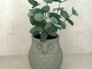 Wise Owl Planter – A Hoot for Your Succulents!