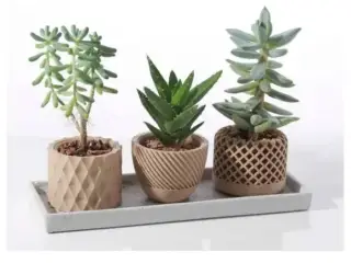 Geometric succulent Plant Pot 1
